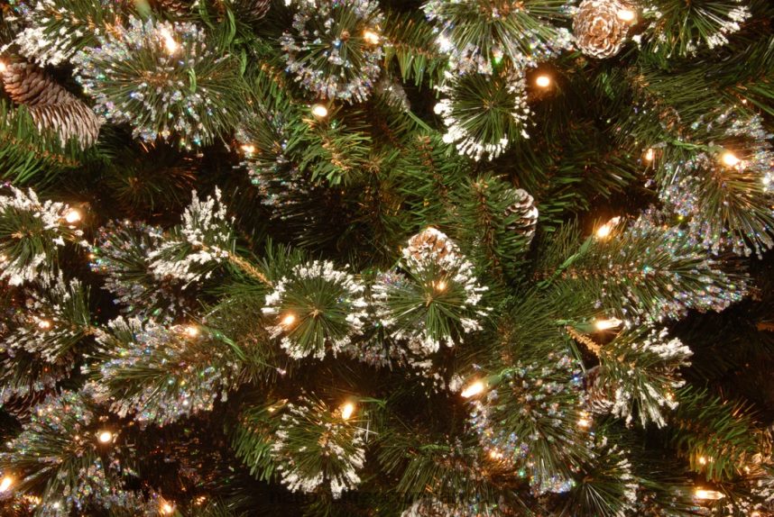 Trees | National Tree Company Pre-Lit Artificial Slim Christmas Tree Green Glittery Bristle Pine White Lights Flocked with Pine Cones Frosted Branches Includes Stand 75 Feet F2L4F203